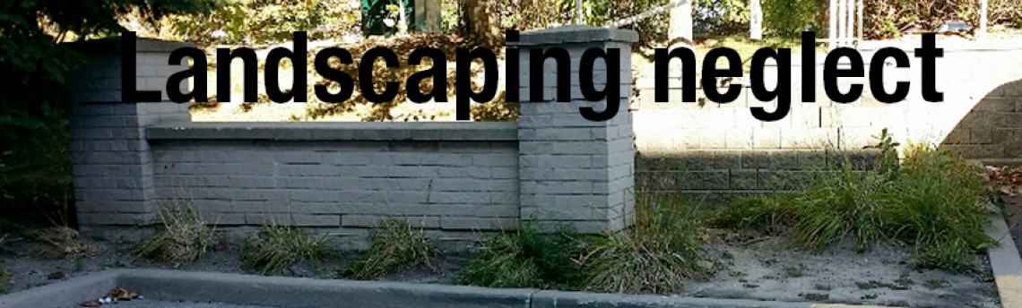 Neglect Landscaping