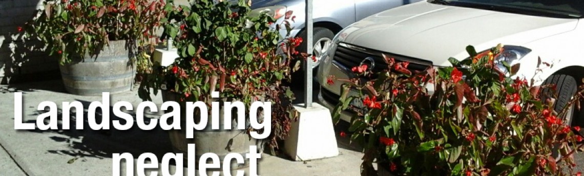 Landscaping company is not honoring their commitment
